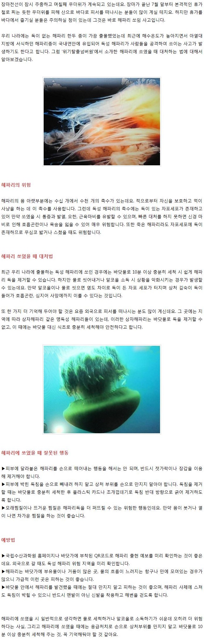 해파리 쏘였을때.JPG