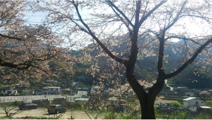 다촌펜션 주변경치.JPG