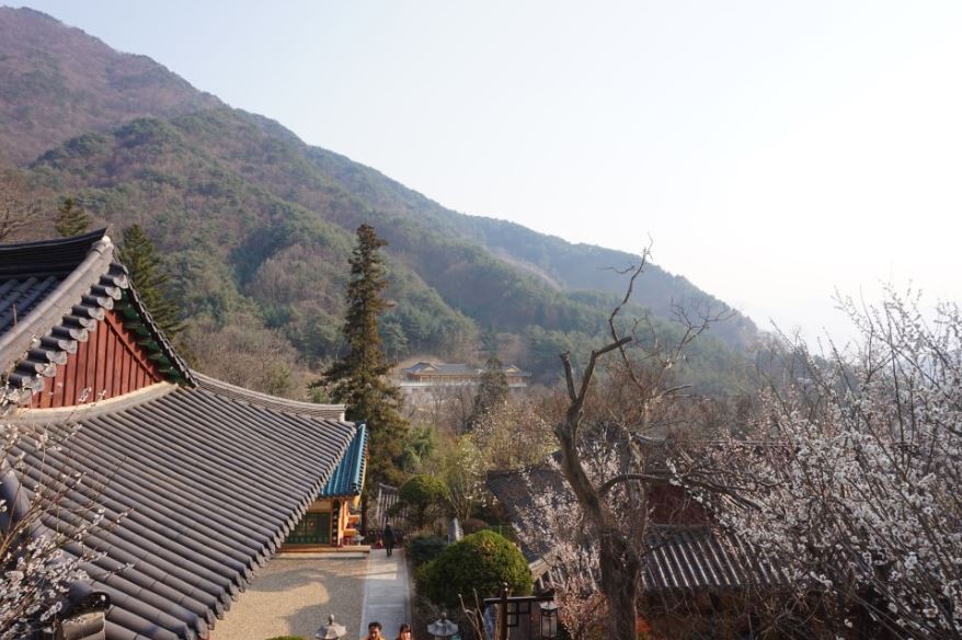 쌍계싸 풍경2.JPG