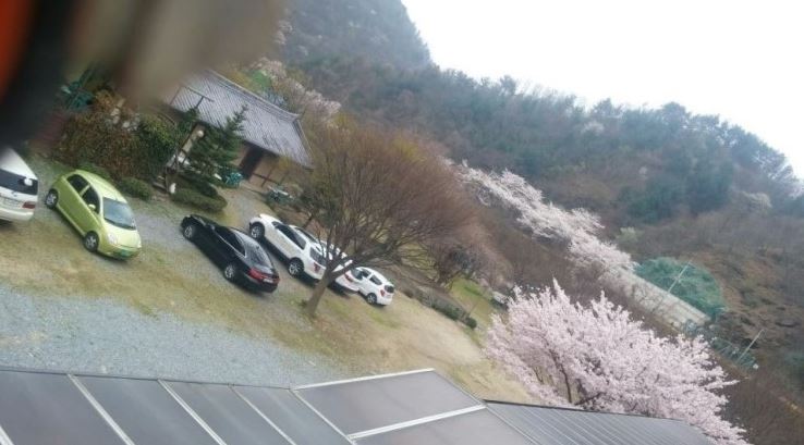 다촌펜션 주차장.JPG