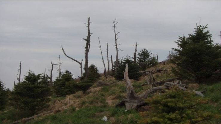 지리산 천왕봉7.JPG