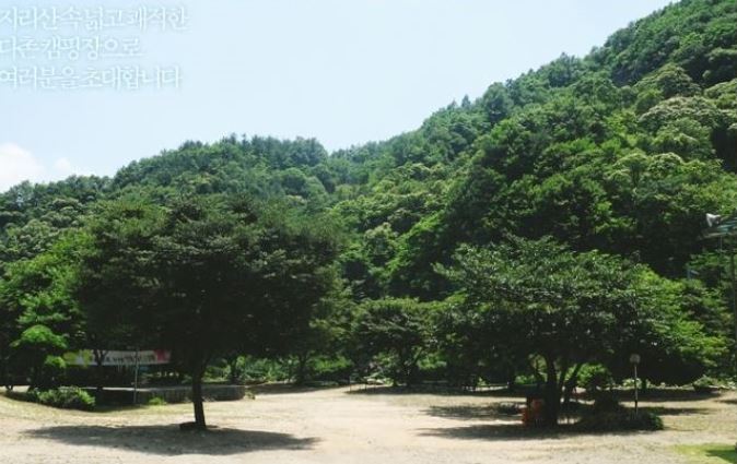 다촌펜션 캠핑장.JPG