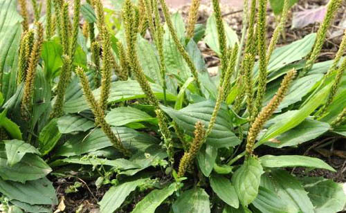 2253FF435291B2D91A48AC