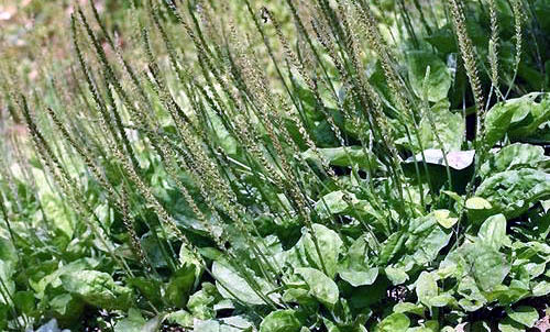 243619355291AEF418D460