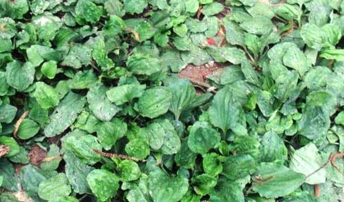 263938365291B360086EA6