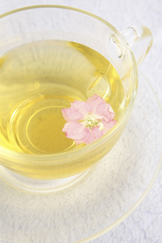 11648942505DE73E0A369B